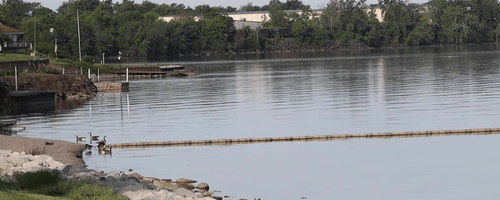 Kaptur Pond Image